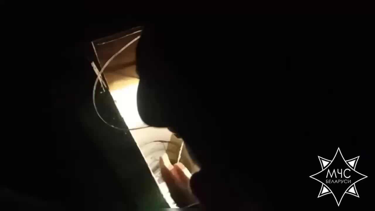 Спасение котенка из колодца в Минском районе