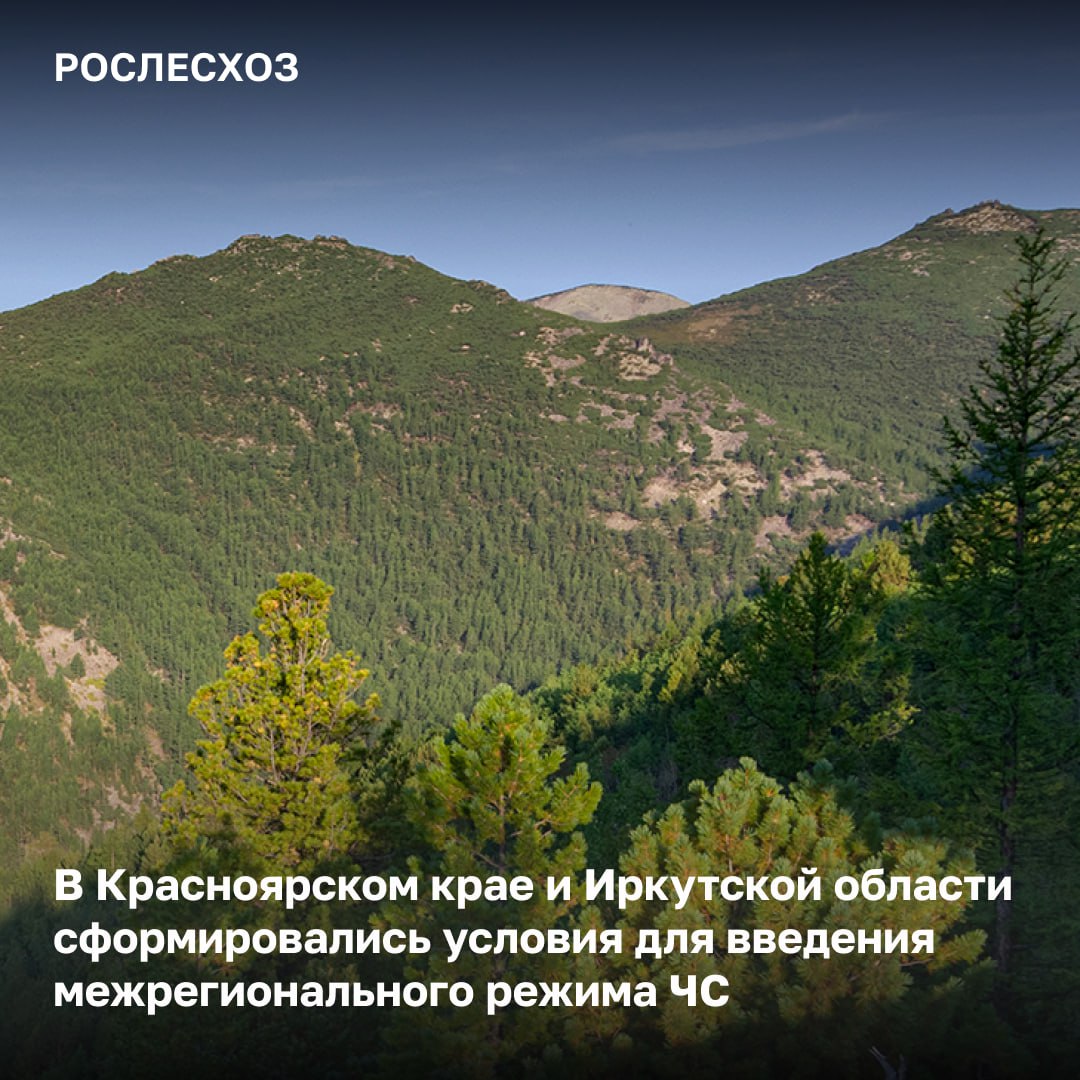 Напряженная лесопожарная обстановка сохраняется на территории Красноярского края и Иркутской области. Ситуация в регионах На 06:00 мск 18 июля на землях лесного фонда в Красноярском крае тушат 23 лесных пожара на площади 2,6 тыс. га. На территории Иркутской области - 6 возгораний площадью 679 га, из них локализовано 4 площадью 334 га. Привлеченные силы В тушении лесных пожаров в Красноярском крае и Иркутской области задействовано порядка 750 человек. Помощь регионам в ликвидации возгораний дополнительно оказывают свыше 100 десантников-пожарных ФБУ «Авиалесоохрана». «Рослесхоз в непрерывном режиме контролирует работу по тушению лесных пожаров в Красноярском крае и Иркутской области. Лесопожарная обстановка здесь осложняется высокими температурами воздуха и отсутствием осадков. Регионам надлежит рассмотреть вопрос о введении межрегионального режима ЧС - условия для этого уже сформировались. Это позволит оперативно нарастить группировку для ликвидации возгораний и стабилизировать ситуацию», – подчеркнул замруководителя Рослесхоза Алексей Венглинский на заседании КЧСиПБ ведомства.