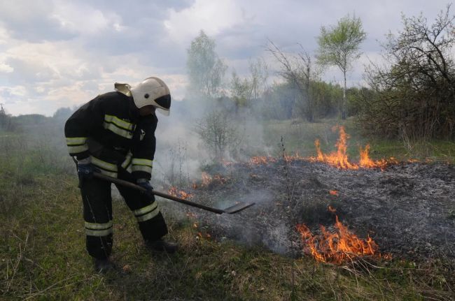 В Тульской области объявлена высокая степень пожароопасности Метеопредупреждение для жителей региона разослало Главное управление МЧС России по Тульской области. Подробнее Подписаться