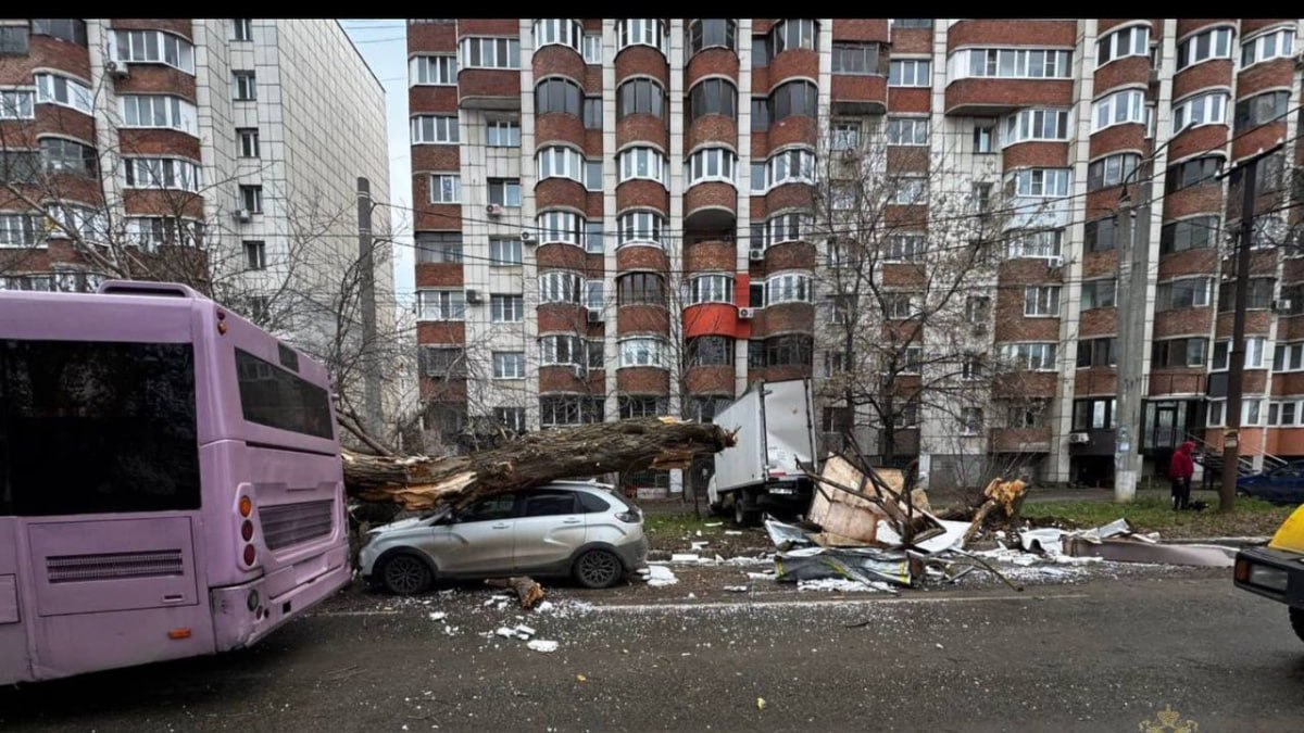 В Самаре движущийся автобус уронил дерево на иномарку Авария с участием трёх автомобилей и дерева произошла в воскресенье 9 ноября в 8 10 утра По данным полиции водитель розового автобуса двигался по ул Алма Атинская Напротив дома 36 по ул Олимпийская врезался в припаркованную Газель а затем по инерции совершил наезд на дерево после чего оно упало на автомобиль Lada X Ray ГУ МВД России по Самарской области ГТРК Самара MAX lВК lОК lСАЙТ