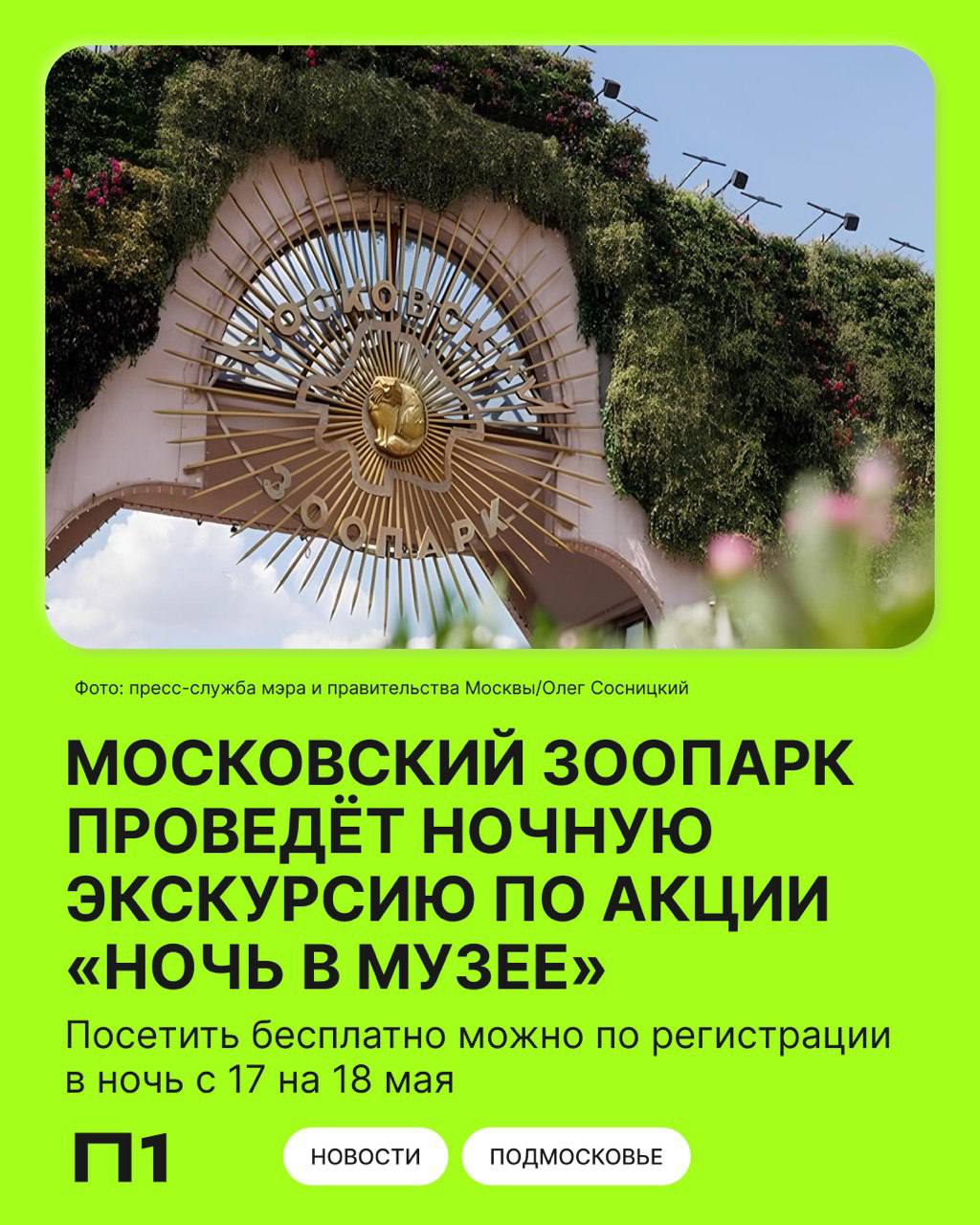 Впервые в истории зоопарка пройдёт ночная интерактивная выставка-шоу «Тени незабытых предков». Посетителей ждёт ночная прогулка по Старой территории зоопарка и множество интерактивов. Подписаться Написать нам