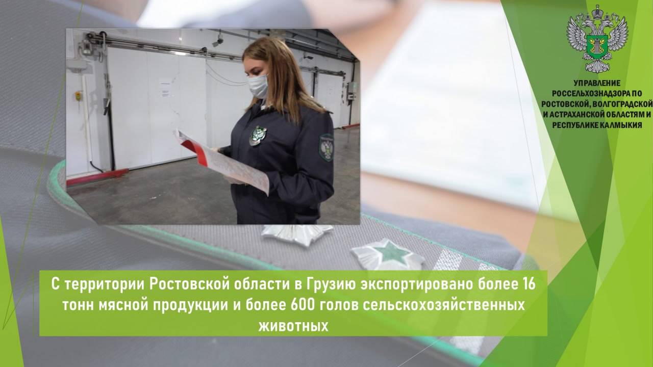 Управлением Россельхознадзора в период с 12 по 16 мая в местах полного таможенного оформления Ростовской области досмотрено и оформлено 5 партий подконтрольной госветнадзору продукции и сельскохозяйственных животных для последующего экспорта в Грузию. В частности, с территории региона экспорту подлежала партия говядины 16,5 т и 4 партии сельскохозяйственных животных свиньи убойные 687 голов . Продукция признана безопасной в ветеринарно-санитарном отношении и в полном объеме соответствует требованиям страны-импортера. Ее качество и безопасность подтверждены результатами лабораторных исследований. Экспортируемые сельхозживотные клинически здоровы и выпущены с территории, свободной от заразных и особо опасных болезней животных. По результатам мониторинга ФГИС «Меркурий» в части касающейся законности происхождения экспортируемой продукции нарушений не выявлено. Разрешение на вывоз выдано в автоматизированной системе «Аргус». Открыть полный текст #Ветеринарный_надзор #Ввоз_вывоз_транзит #Экспорт