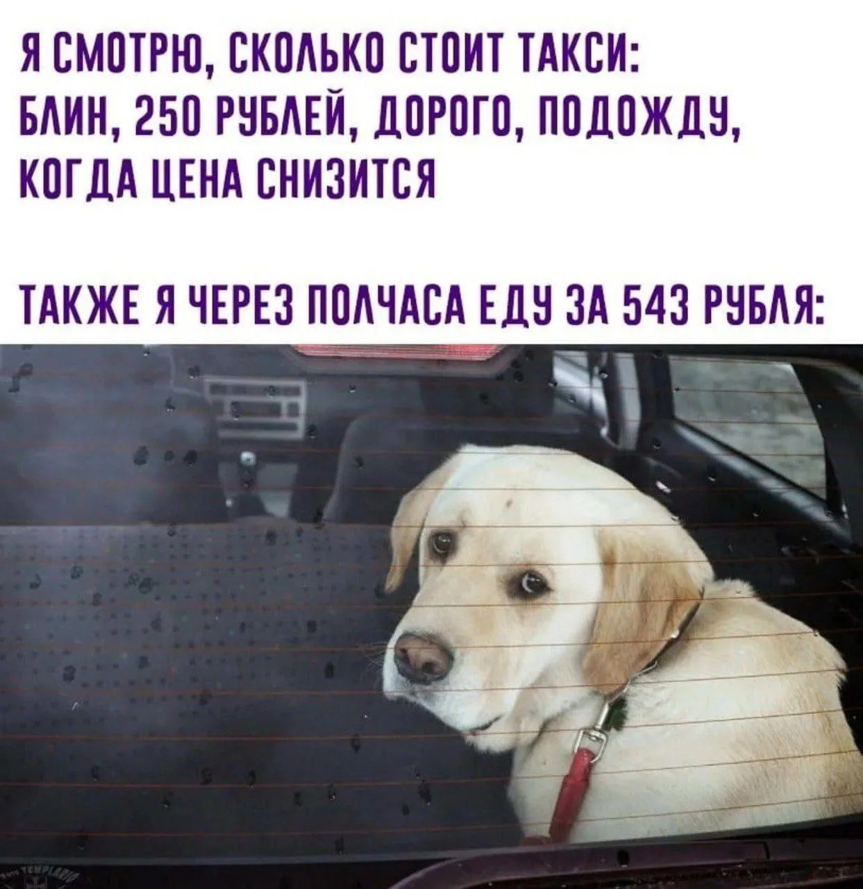 Цены на такси в России могут вырасти до 30 к концу года По словам представителей отрасли на стоимость поездок влияют сразу несколько факторов новое регулирование общее состояние экономики и дефицит водителей Ожидается что при сохранении этих условий тарифы продолжат расти в течение всего года Подпишитесь на нас в ТГ MAX ВК Прислать материала