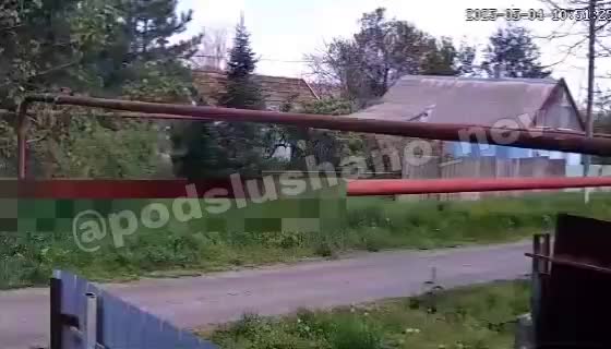 Полиция проводит проверку после инцидента с выстрелом в щенка в хуторе Прогресс