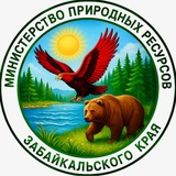 Аватар Телеграм канала: МИНПРИРОДЫ ЗАБАЙКАЛЬСКОГО КРАЯ