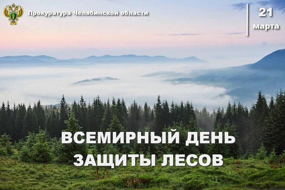 Прокуратурой Челябинской области на постоянной основе уделяется внимание вопросам сохранности лесов.   По материалам прокурорских проверок в 2024 году возбуждено 10 уголовных дел в сфере лесопользования.   Судами рассмотрено 27 исковых заявлений прокуроров о взыскании ущерба за вред, причиненный незаконной рубкой, о возложении обязанности по приведению проектов освоения лесов в соответствие с требованиями законодательства.  Исковой работой обеспечено возмещение ущерба на сумму более 1,5 млн рублей.  В рамках надзорных мероприятий пресекались факты противоправного использования земельных участков лесного фонда, невывоза порубочных остатков, недостаточной укомплектованости штата пожарных бригад.  Нарушения выявлялись также в деятельности арендаторов земельных участков. Благодаря прокурорскому вмешательству арендаторами приняты меры к созданию пунктов сосредоточения пожарного инвентаря, погашению задолженности за использование земельных участков лесного фонда.    Меры координационного характера способствовали снижению количества пожаров на территории субъекта, площадь лесных пожаров в 2024 году сократилась в 4 раза.   В 2025 году в ходе проверок прокурорами выявлены нарушения в части недостаточности принимаемых лесными хозяйствами мер для подготовки к пожароопасному периоду. В целях устранения выявленных нарушений прокурорами внесены представления, фактическое устранение нарушений поставлено на контроль.