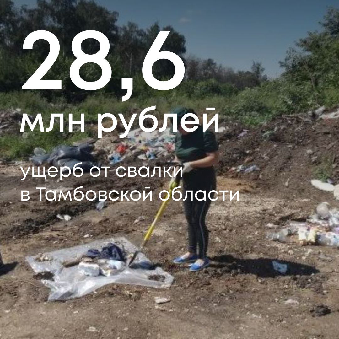 В районе рабочего поселка Дмитриевка Тамбовской области была обнаружена масштабная несанкционированная свалка. Наши инспекторы выявили локальные скопления твердых коммунальных и строительных отходов, порубочных остатков деревьев, отходов животноводства, автопокрышек, полимеров и текстиля. Мы рассчитали ущерб окружающей среде — он превысил 28,6 млн рублей. Земельный участок не имеет конкретного владельца, а значит ответственность за поддержание порядка на нем несут органы местного самоуправления. Администрация Никифоровского муниципального округа не приняла мер по ликвидации свалки и предотвращению загрязнения почв, а также отказалась от добровольного возмещения вреда. Мы обратились в суд — судьи нескольких инстанций поддержали позицию Росприроднадзора и обязали муниципалитет возместить причиненный почвам ущерб в полном объеме. Исполнение решения — на контроле Службы.