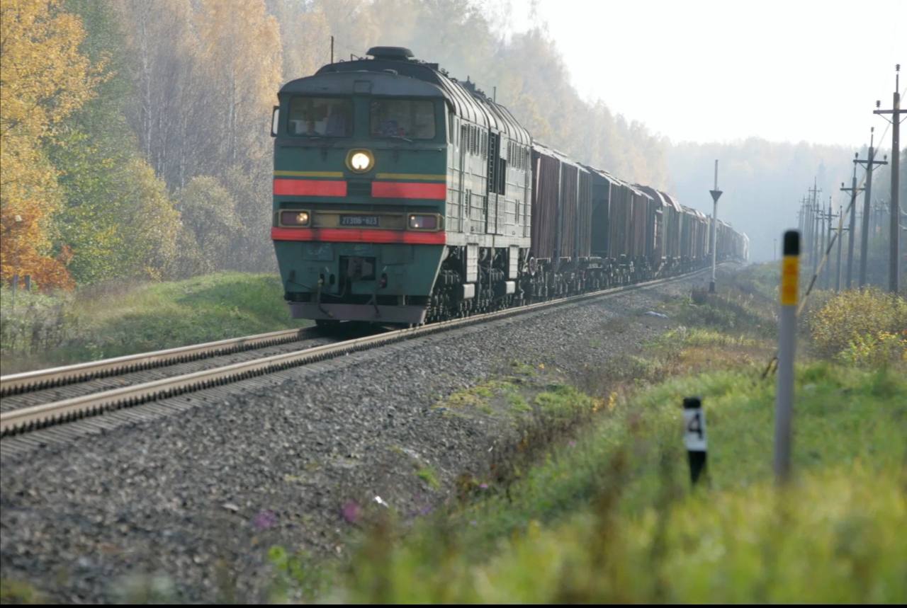 NSK.154  Поезд оставил без ног пенсионерку в Новосибирской области  В Новосибирской области на станции Евсино грузовой поезд проехал по ногам 86-летней женщины. Она подлезла под вагон, чтобы перейти пути, но не успела до начала движения поезда.   «В этот момент состав начал движение. С тяжелыми травмами обеих ног пострадавшую доставили в медицинское учреждение для оказания помощи», — сообщает Транспортная полиция Сибири. @