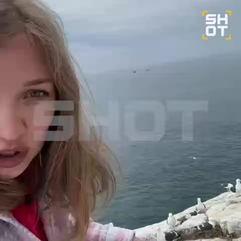Туристка пострадала от атаки чайки у маяка Анива