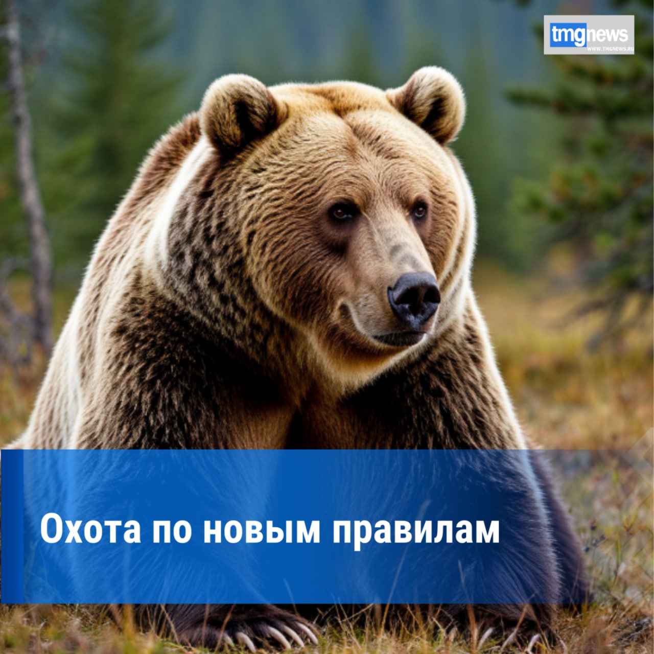 Госкомохотнадзор Тувы сообщает о сокращении срока действия разрешений на добычу копытных и медведей  Руководитель Государственного комитета по охране объектов животного мира Тувы Артыш Салчак информирует охотников республики об изменениях в российском законодательстве с начала осени Согласно нововведениям в законе в заявлении на получение разрешения в отношении копытных и медведей отнесенных к охотничьим ресурсам в качестве предполагаемых сроков охоты указывается не более двух непрерывных временных периодов продолжительность которых составляет не более 30 календарных дней При этом если охотник не воспользуется разрешением в период указанного времени он должен вернуть разрешение При необходимости охотник может получить новое разрешение Отметим что данное нововведение относится только к добыче копытных животных и медведя Подробнее здесь