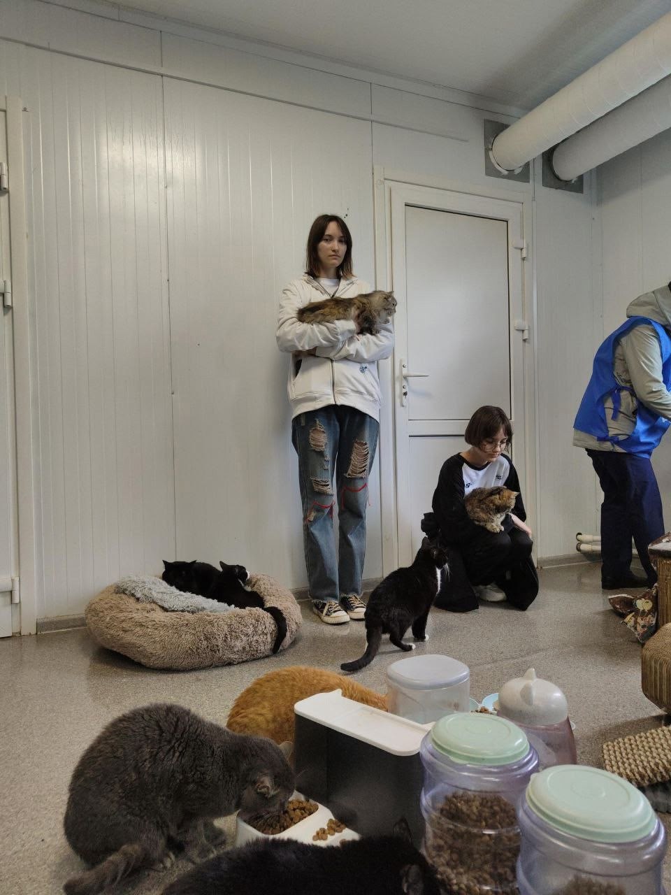 В Губкинском прошел субботник в приюте для бездомных животных. В акции участвовали больше ста горожан. Мужчины собирали мусор, женщины обновляли заборы и ворота. Добровольцы также привели в порядок кошачью комнату, отмыли и отремонтировали игровые комплексы. В благодарность сотрудники приюта угостили помощников чаем со сладким. Все желающие могли пообщаться с пушистыми подопечными. Фото: Паблик приюта «Доброе сердце» / ВКонтакте