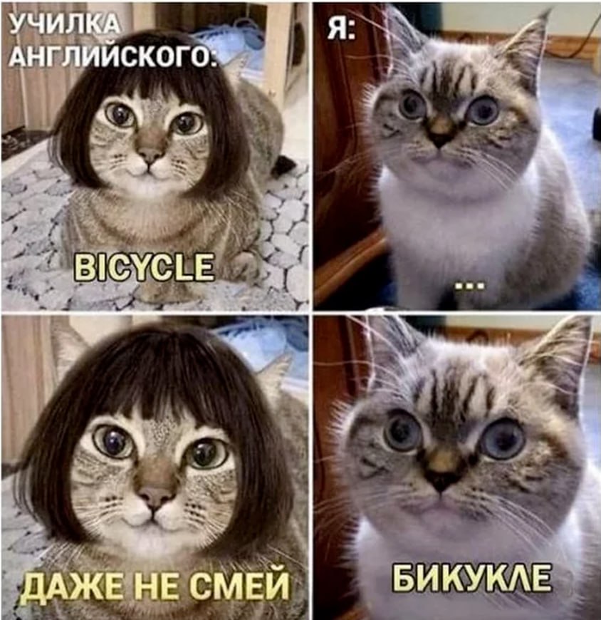 Каждый второй житель Челябинска считает английский ключом к успешной карьере 53% челябинцев назвали английский язык самым важным для профессионального роста. Опрос сервиса SuperJob показал, что китайский признали перспективным 10% респондентов, причём мужчины упоминали его в два раза чаще женщин. Арабский, немецкий и испанский — в пределах статистической погрешности. Среди родителей 52% уверены, что их детям пригодится именно английский. Китайский выбрали 30%, ещё 6% распределились между немецким, арабским, испанским и другими языками. Только 4% полагают, что иностранные языки их детям не понадобятся.