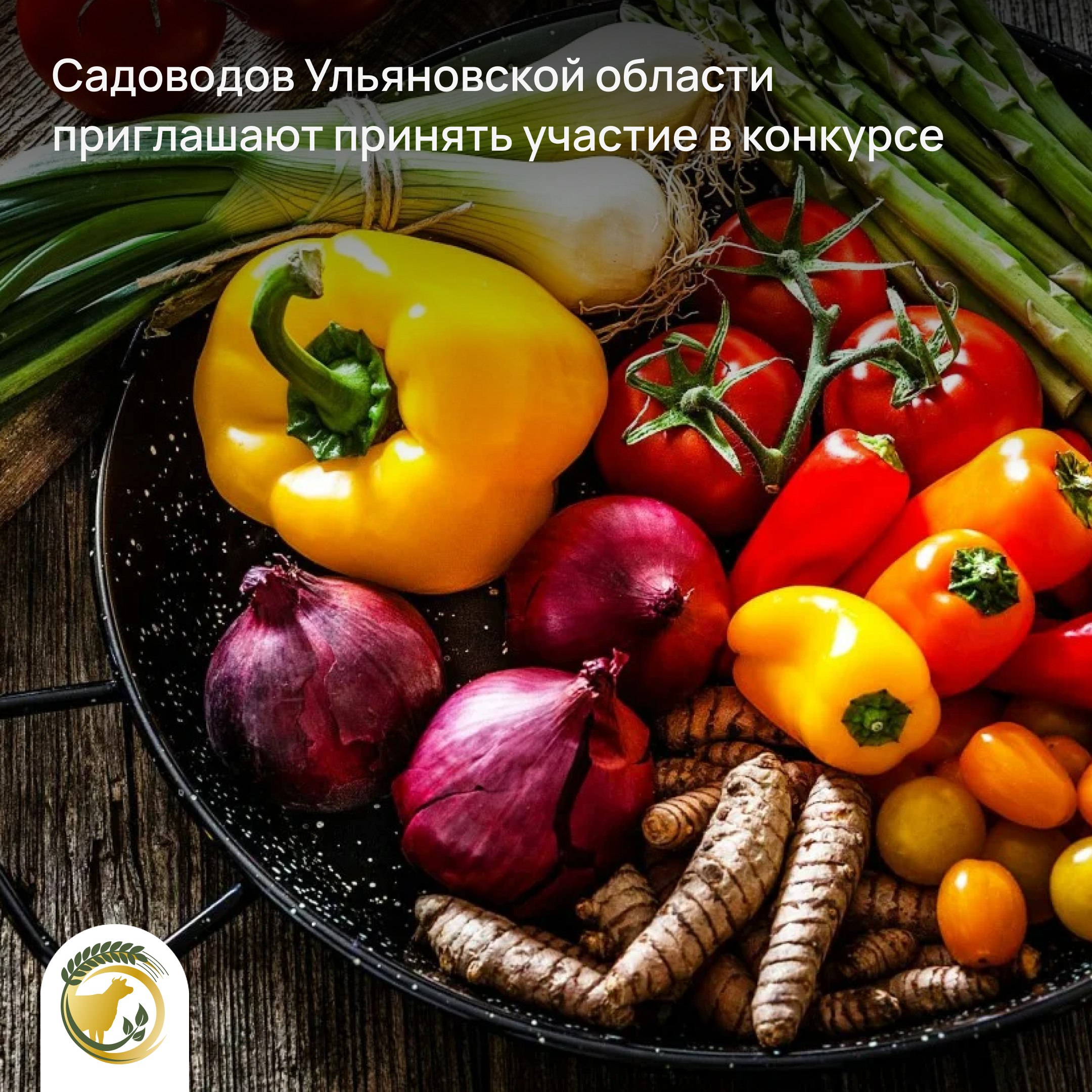 Конкурс на лучший овощ и фрукт проводится Ульяновской областной ассоциацией садоводов до 15 сентября При определении победителя будут оцениваться внешний вид размер количество качество и вкус овоща и фрукта В конкурсе могут принять участие члены СНТ вырастившие продукцию на своём дачном участке Фото от садоводов с указанием ФИО и наименования СНТ можно направлять на электронный адрес uoas73 yandex ru Ульяновскаяобласть мсх73