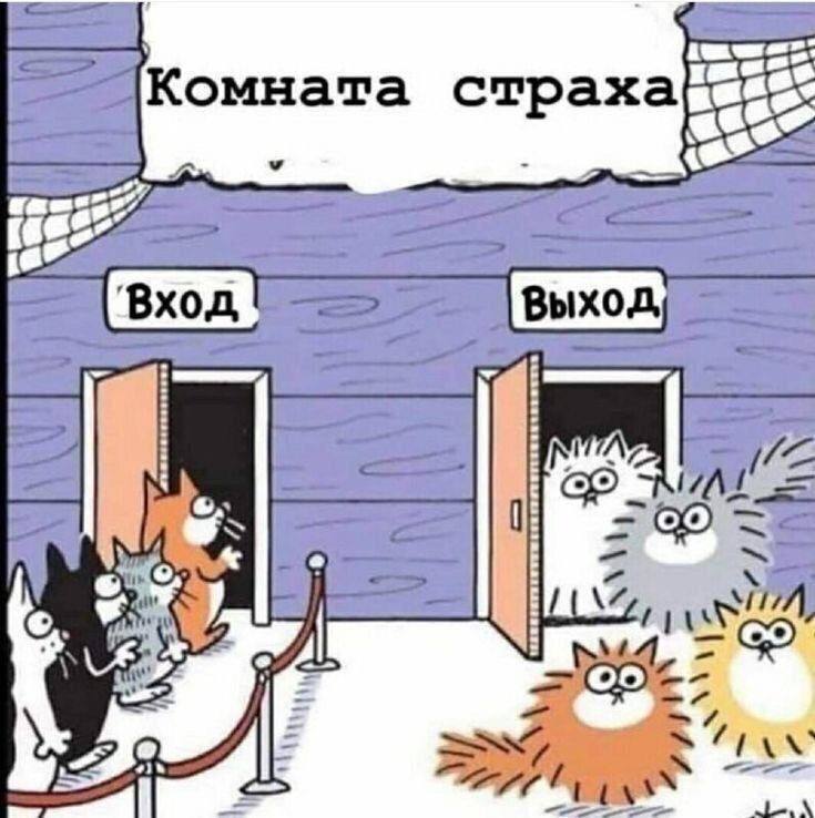 Ubisoft сократила 40 сотрудников в филиале Торонто который разрабатывает ремейк Splinter Cell Увольнения всё также связаны с программой снижения расходов и реструктуризации Отдельно уточняется что ремейк не отменён пока что