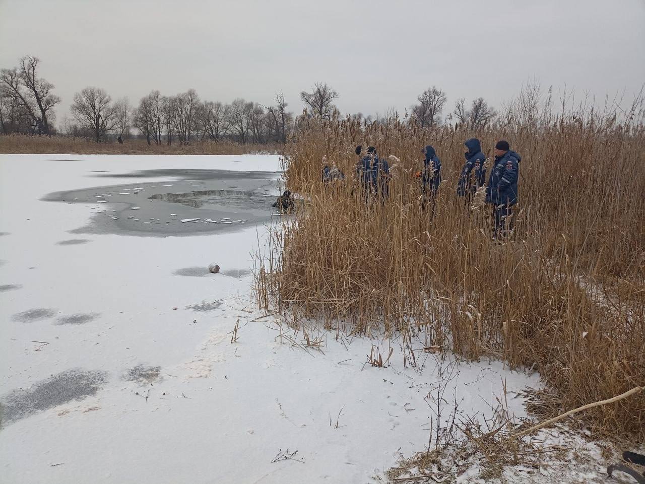 Пожалуйста не выходите на лед Вчера в соседней Воронежской области два 9 летних школьника провалились под лед на реке Усманка Ребята звали на помощь услышавший их крики очевидец начал спасать детей Одного ребенка ему удалось достать из воды второй к сожалению утонул Подписывайся на okoskol Прислать новость за вознаграждение