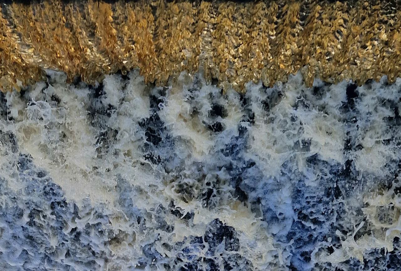 Самарский Эверест ответит за очистные в Нефтегорском районе и возможно не только рублем Провести комплексную проверку компании Эверест реализующей сразу 23 бюджетных подряда в Нефтегорском районе поручил заместителю председателя правительства Самарской области Никите Зубко и счетной палате региона губернатор Вячеслав Федорищев на оперативном совещании регионального кабинета министров 18 ноября 2025 года   oboz info samarskij everest otvetit za ochistnye v neftegorskom rajone i vozmozhno ne tolko rublem