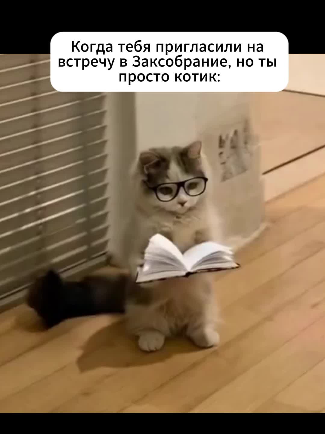 Максим Воронин назначен в рабочую группу по молодежной политике СНГ
