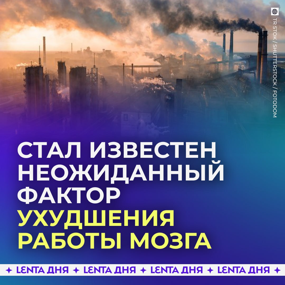 Загрязнённый воздух может ухудшать память Учёные выяснили что у взрослых людей выросших в среде с загрязнённым воздухом показатели когнитивных тестов были ниже Особенно в области эпизодической памяти и общего психического состояния Наиболее уязвимыми оказались мужчины курильщики и люди употребляющие алкоголь Эти факторы усиливают воспалительные и стрессовые процессы вызванные загрязнением воздуха Подпишись на Ленту дня MAX ТГ