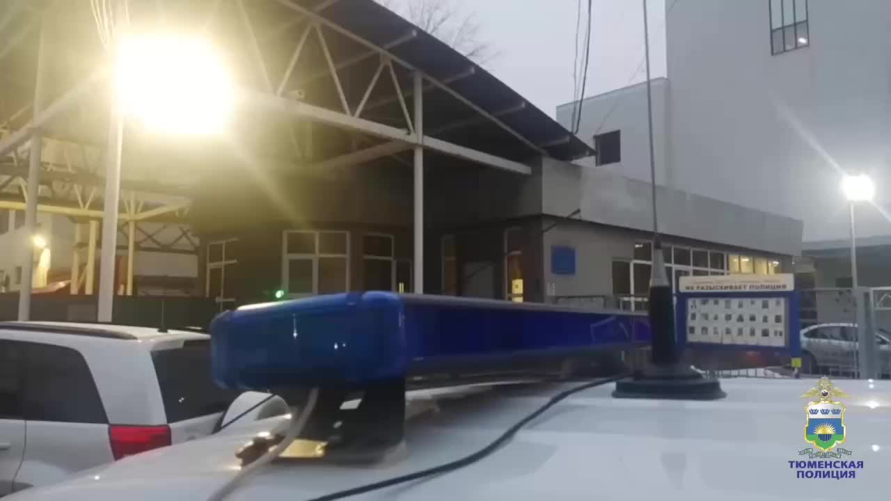 В Тюмени и США произошли необычные преступления с участием групп мужчин