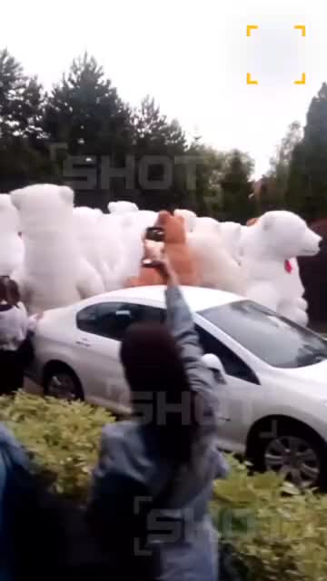 Житель Красногорска заказал 100 медведей-аниматоров на день рождения