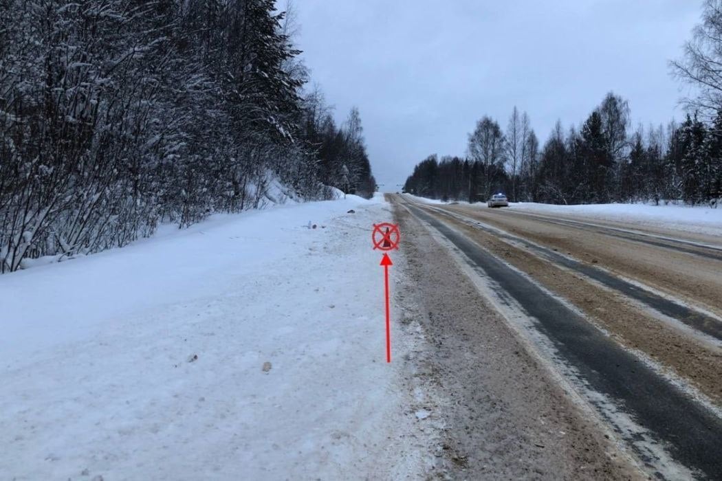 В столице Коми под колесами авто оказалась 27-летняя девушка.  Ее сбил неустановленный водитель на трассе Сыктывкар — Эжвинский район.  Как рассказали в ГАИ по РК, накануне, 22 декабря, на 23 км дороги водитель не убедился в безопасности своего маневра и задним ходом наехал на девушку. Пешеходка получила черепно-мозговую травму и сотрясение.  Водитель объявлен в розыск.