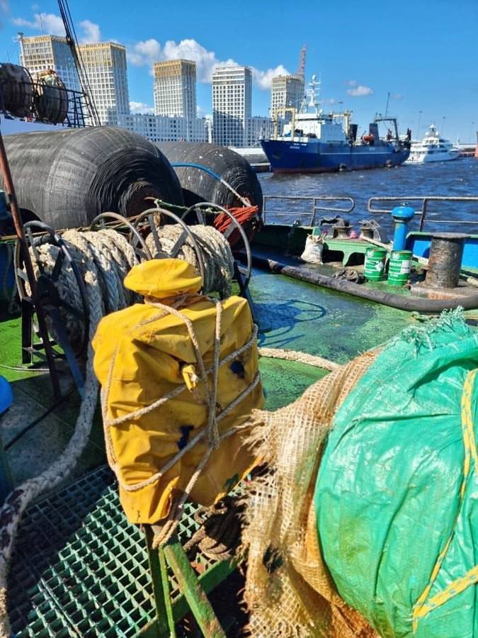 В порту Санкт-Петербурга произошел разлив мазута во время заправки рыболовного судна. Об инциденте сообщили в Управлении на транспорте МВД России по Северо-Западному федеральному округу. Специалисты зафиксировали разлив примерно 50–100 кг нефтепродуктов. Инцидент произошел в ночь на 1 июня. По предварительным данным, около 2:00 рыболовное судно проводило бункеровку мазута, в ходе которой произошла утечка. Ни дня без происшествий. ™ Рыбхоз. Всё о рыбе