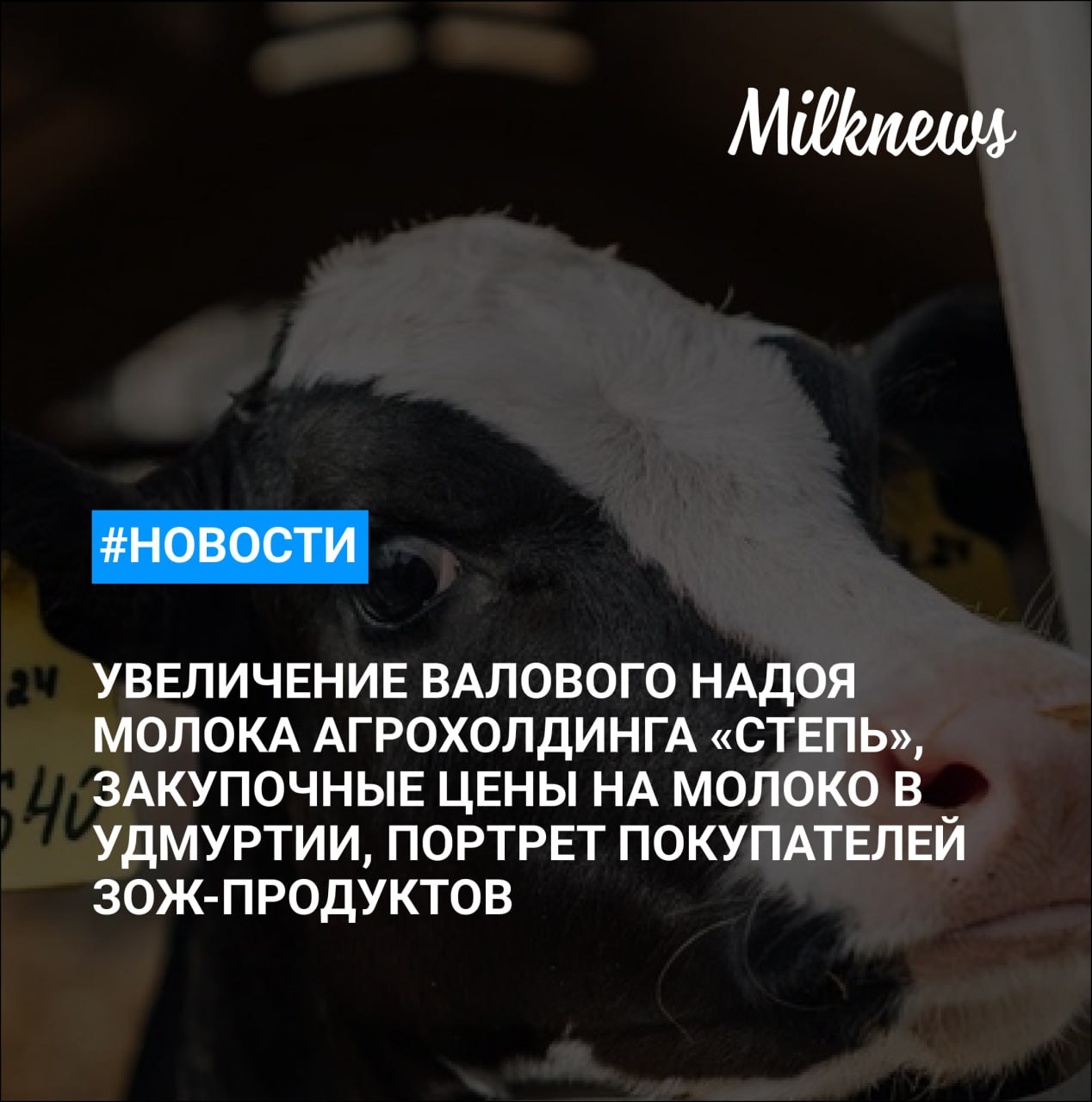 Агрохолдинг СТЕПЬ увеличил валовой надой молока на 21 по итогам 2025 года ИП разрешили быть посредниками в закупках молока у населения в Беларуси Логика молока и НАФИ составили портрет покупателей ЗОЖ продуктов Закупочные цены на молоко в Удмуртии снизились к началу года на 10 Нижегородскому фонду АПК отказали в аресте коров за долги предприятий