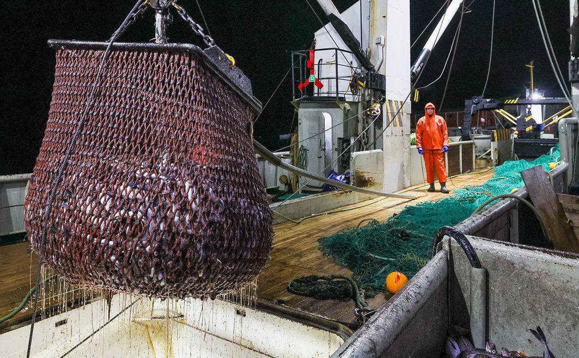 Рыбаки уже во всю ведут промысел По данным Центра мониторинга рыболовства и связи к 12 января общероссийский вылов составил 139 2 тыс тонн что пока на 3 ниже аналогичного периода прошлого года  В Дальневосточном бассейне добыто 126 тыс тонн 3 2 Из них минтая 76 6 тыс тонн трески 4 3 тыс тонн сельди тихоокеанской 39 3 тыс тонн  В Северном бассейне вылов вырос до 8 8 тыс тонн 20 5 Из них трески добыто 3 9 тыс тонн пикши 2 8 тыс тонн 47  В Западном бассейне добыча достигла 1 8 тыс тонн 34 5 Из них шпрота кильки 1 3 тыс тонн 46 сельди балтийской салаки 0 5 тыс тонн  В Азово Черноморском бассейне выловлено 0 2 тыс тонн хамсы 77  В Волжско Каспийском бассейне добыто 1 7 тыс тонн 17 3 Из них кильки 1 7 тыс тонн В ИЭЗ иностранных государств конвенционных районах и открытой части Мирового океана российские рыбаки просели по промыслу до 0 65 тыс тонн 71   Рыбхоз Всё о рыбе