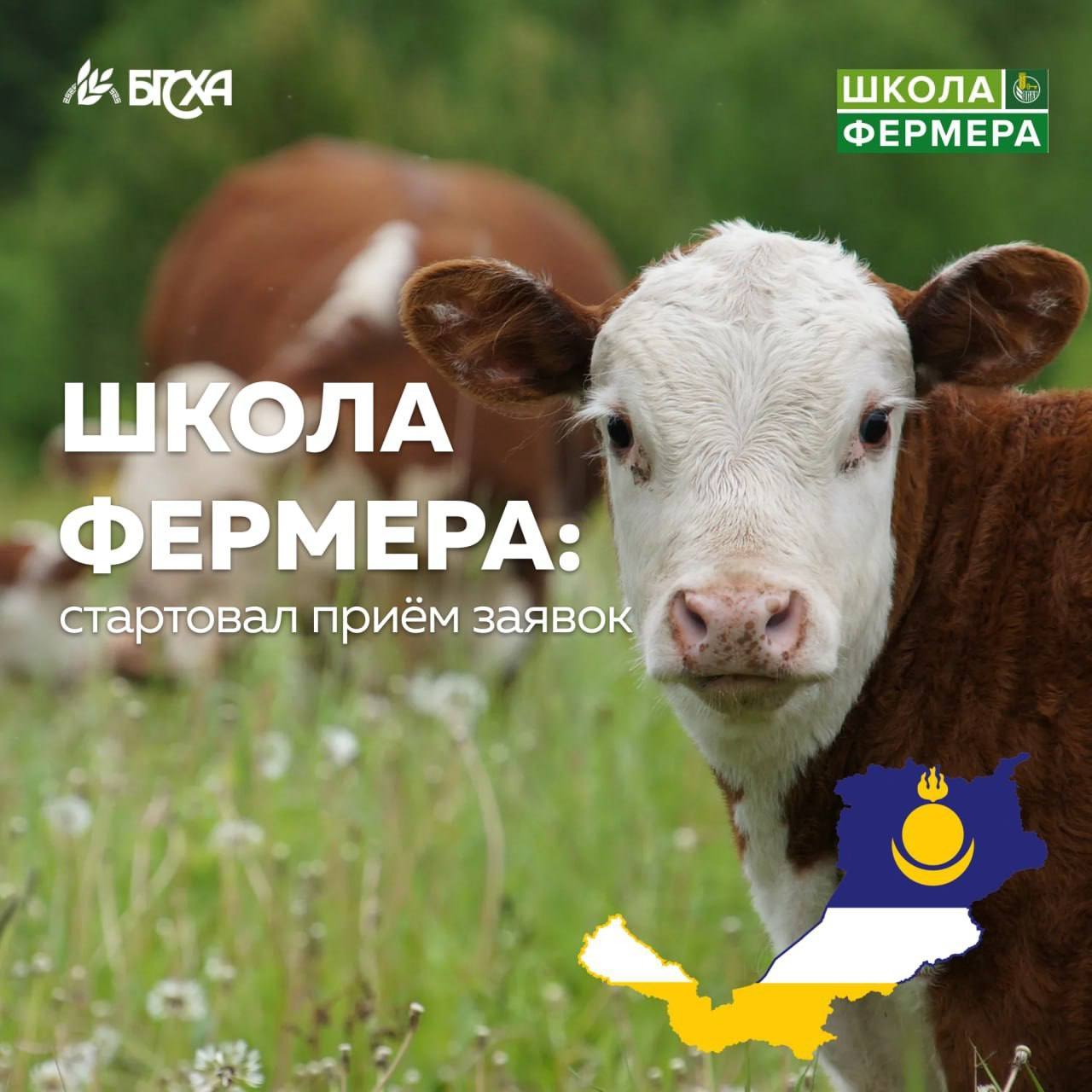 В Бурятии стартует второй в этом году поток Школы фермера Минсельхозпрод Бурятии объявляет о повторном наборе на бесплатный образовательный проект Школа фермера Высокий интерес аграриев стали решающими факторами для запуска дополнительного потока обучения Это шанс для начинающих и действующих фермеров получить ценные знания и мощный импульс для развития своего дела по ключевым направлениям Мясное скотоводство Молочное скотоводство Для участия в конкурсе в срок до 10 сентября нужно направить на электронную почту 433097 mail ru заявку на участие согласие на обработку персональных данных эссе презентацию или видеоролик о проекте Телефон для справок 8 3012 43 30 97 Минсельхозпрод Подписаться