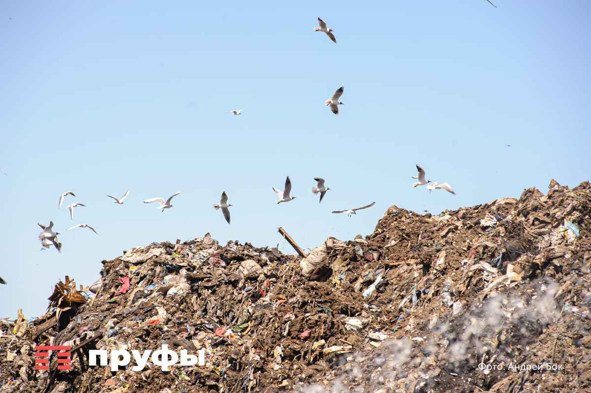 В Башкирии планируют полностью ликвидировать несанкционированные свалки Как сообщили в республиканском Минприроды на начало 2026 года запланирована окончательная ликвидация оставшихся 14 подобных объектов Работа ведётся планомерно с 2019 года За это время в регионе было устранено 3136 свалок что составляет 96 7 от их первоначального общего количества Наиболее активно процесс шёл в 2023 году когда рекультивировали 530 объектов В 2024 году работу завершили на 205 свалках Хотя темпы в 2025 году несколько замедлились из 26 свалок числившихся на начало года удалось ликвидировать 12 Тем не менее власти намерены решить задачу полностью и убрать оставшиеся 14 мест несанкционированного размещения отходов в течение предстоящего года Обратная связь Подписаться Подписаться в Max