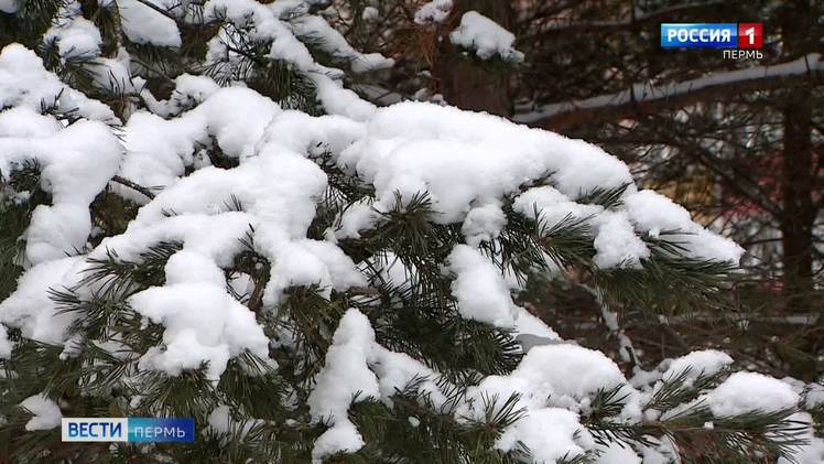 Декабрь в Перми бьёт рекорды по количеству снега   vesti perm ru publications 3ea34f60 2b57 4aae 9a31 60f314bc45e8 В Перми за декабрь выпало уже 164 месячной нормы осадков а в Чердыни почти 100 мм снега По прогнозам синоптиков осадки продолжатся и месяц может стать одним из самых снежных за всю историю наблюдений Вместе с влажным ноябрём за два месяца в городе набралось более 25 годовой нормы осадков