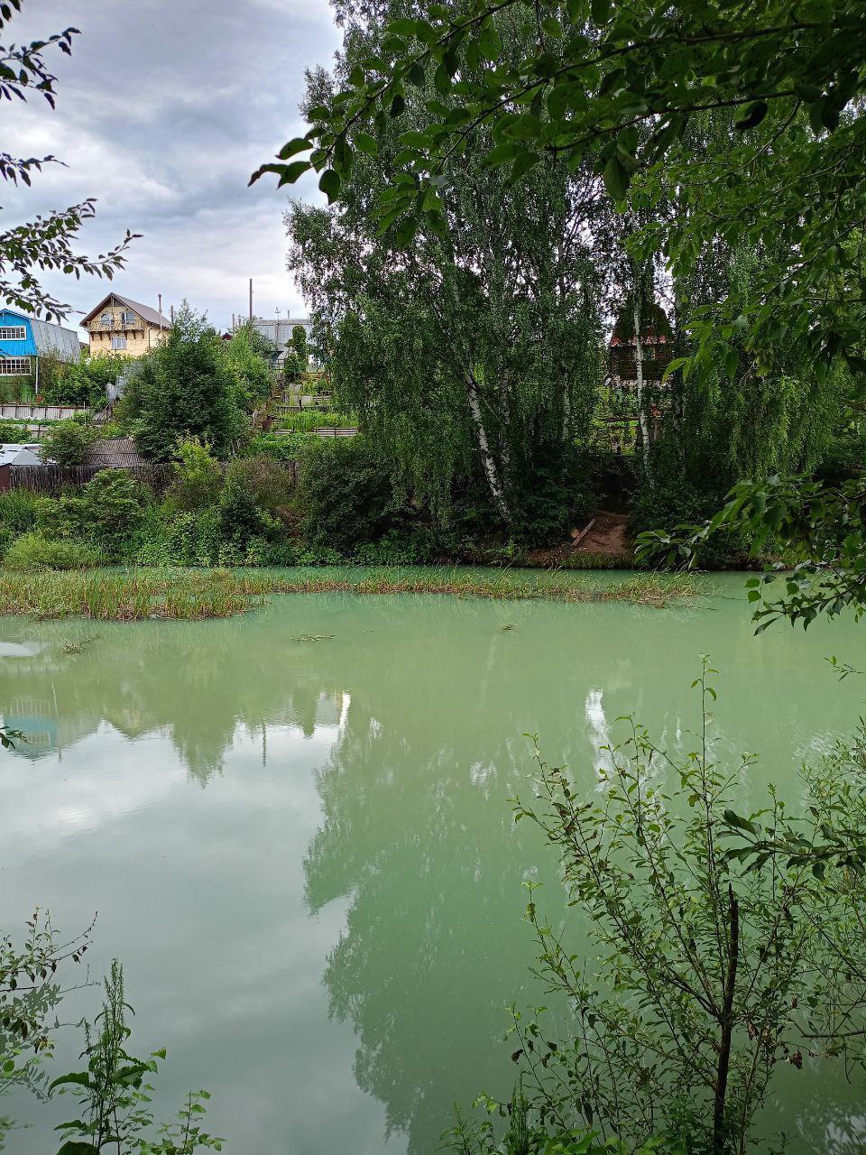 Вчера, 17.07.2025 в воду залива, впадающего выше Камской ГЭС был несанкционированный сброс сточных вод, предположительно с предприятия, которое находится выше, по течению ручья Гремячий. Залив приобрёл нееестественный мутно-голубоватый цвет. Погибла молодь рыб, которой было очень много до этого. Не известно, что стало с утками, которые выводили на этом заливе потомство...Ранее, там же был замечен бобр. Водой из залива для полива участков пользуются садоводы, как раз в этот день был забор воды. Вода, явно с какой-то химией. Очень жалко всю экосистему, ранее сложившуюся в этом заливе.  От подписчика    ЧП Пермь    Прислать новость