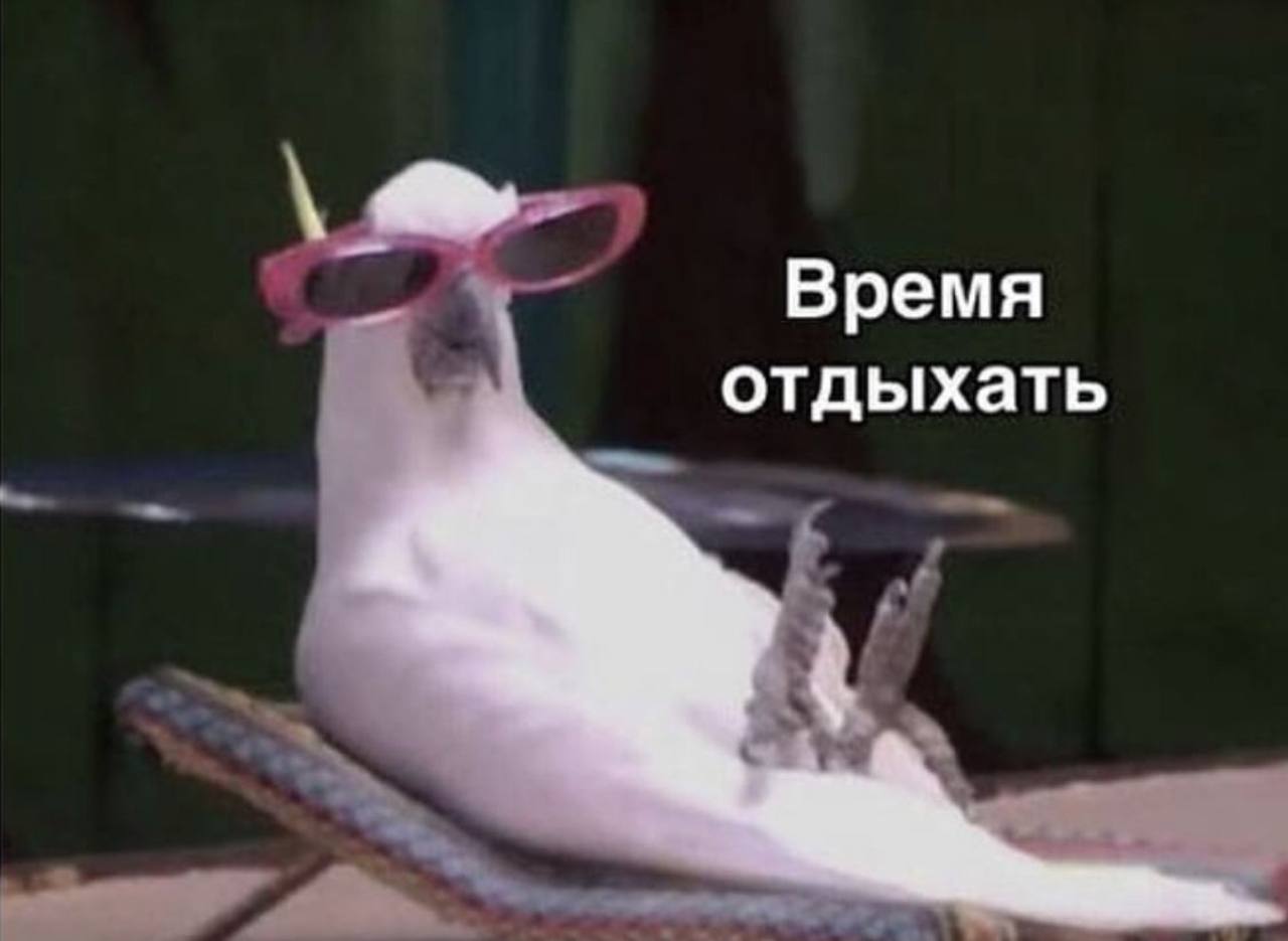 Когда отпуск выгоднее всего эксперт назвала лучшие месяцы 2026 года Самые выгодные месяцы для отпуска в 2026 году апрель июль сентябрь октябрь и декабрь Январь окажется самым дорогим для отдыха мало рабочих дней сообщает ТАСС со ссылкой на Татьяну Подольскую из Президентской академии Эксперт объяснила чем больше рабочих дней в месяце тем меньше потери зарплаты за отпуск Подписаться   Мы в MAX