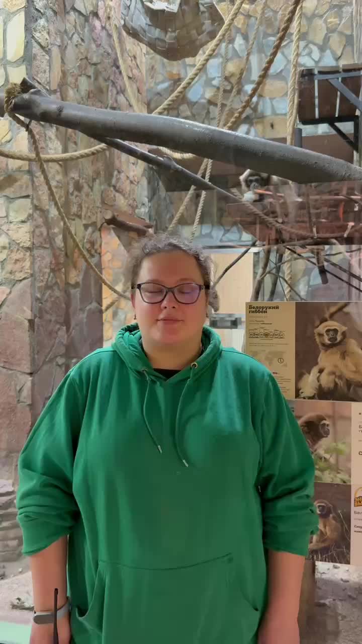 Гиббон Персей из Ленинградского зоопарка отмечает 32-й день рождения с витаминным угощением