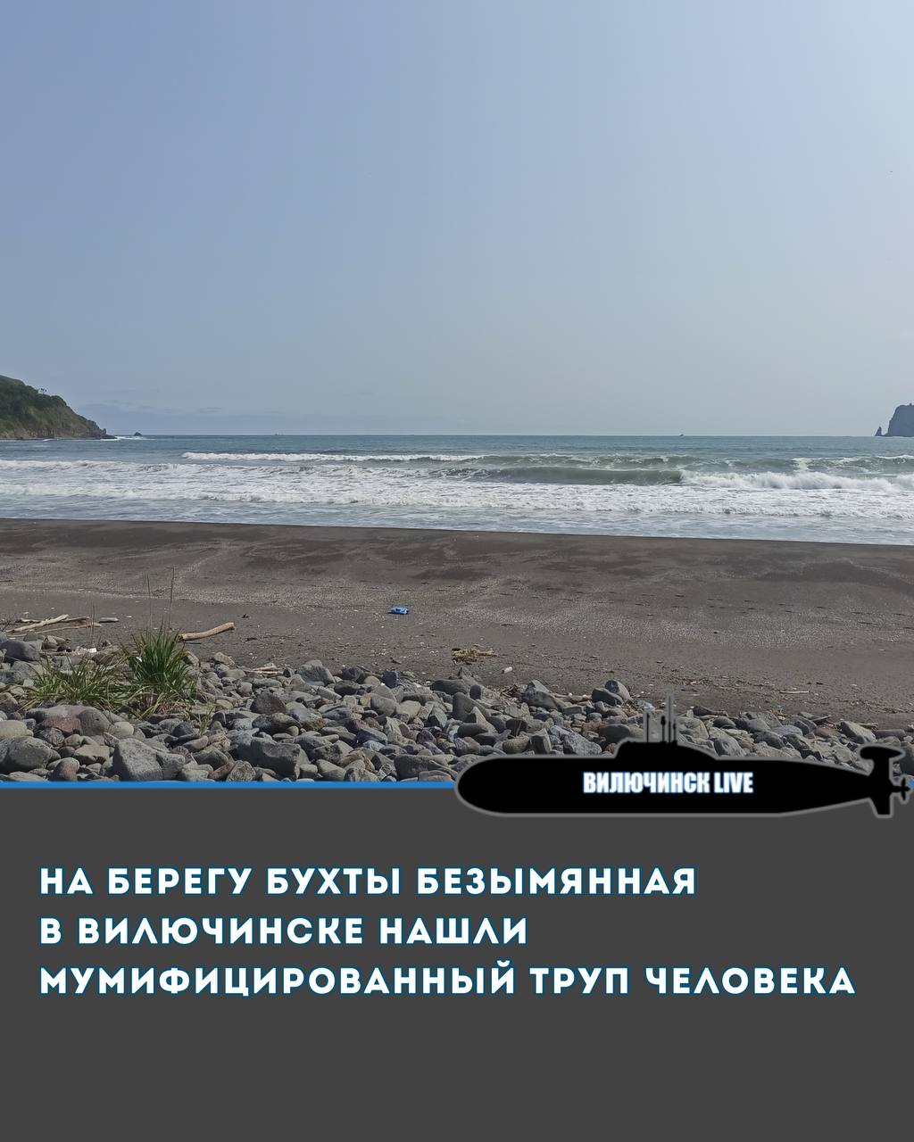 На берегу бухты Безымянная в Вилючинске нашли мумифицированный труп человека 18 мая в Вилючинске на берегу бухты Безымянная был обнаружен мумифицированный труп человека. Личность и пол установить пока не удалось. Судмедэксперты продолжают над этим работать.