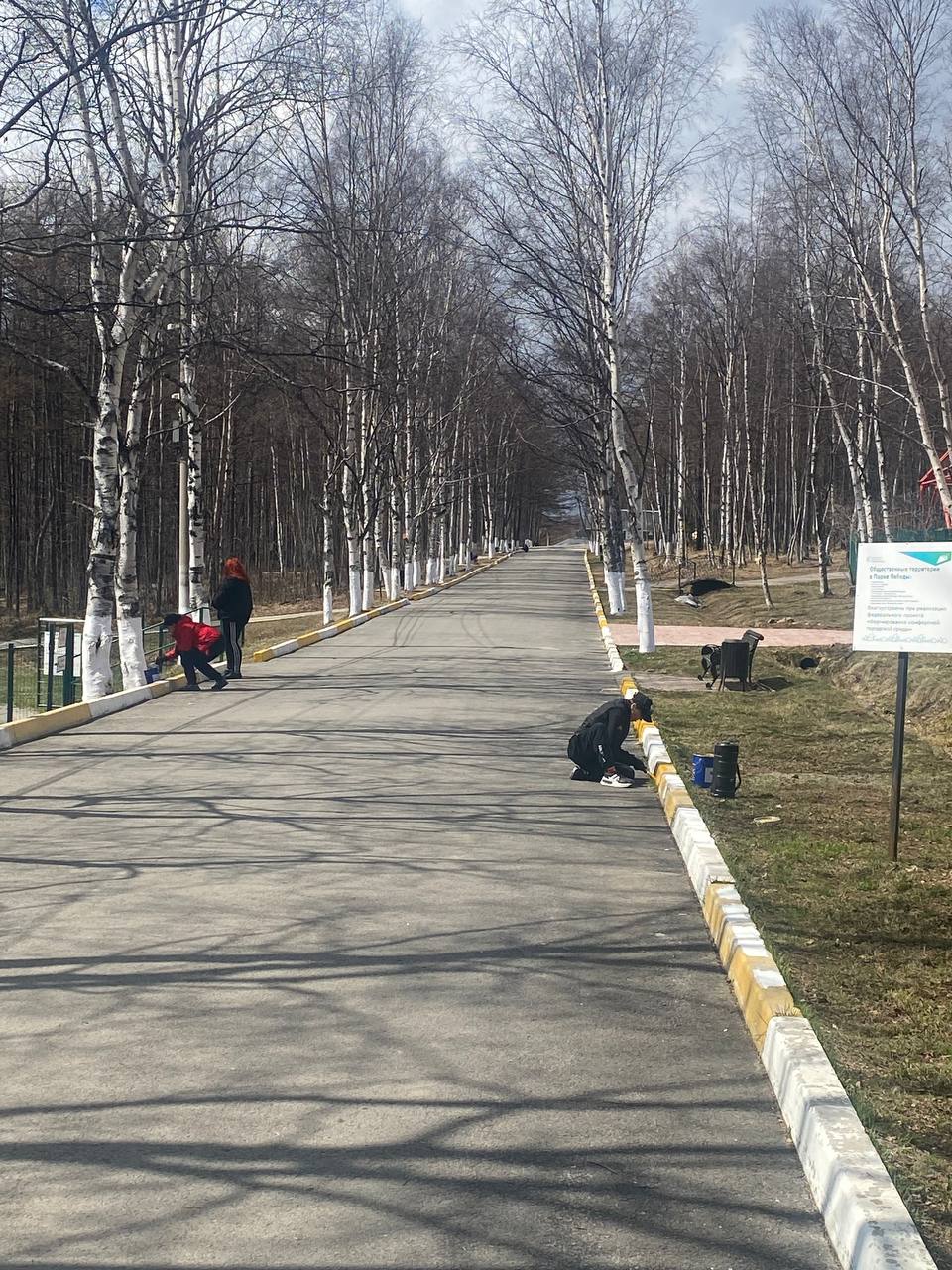 Проводятся работы по благоустройству Парка Победы.