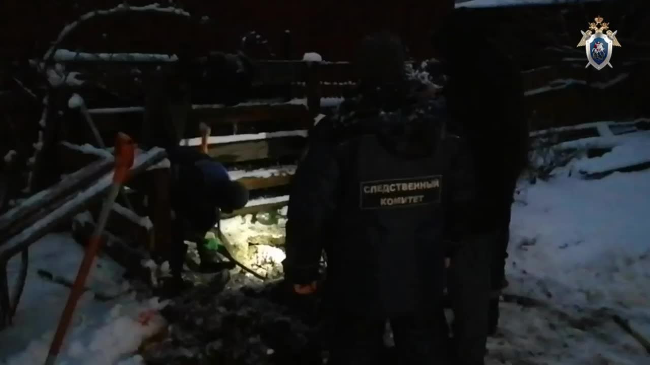 В Подмосковье найдены тела двух пропавших девушек, подозреваемый арестован