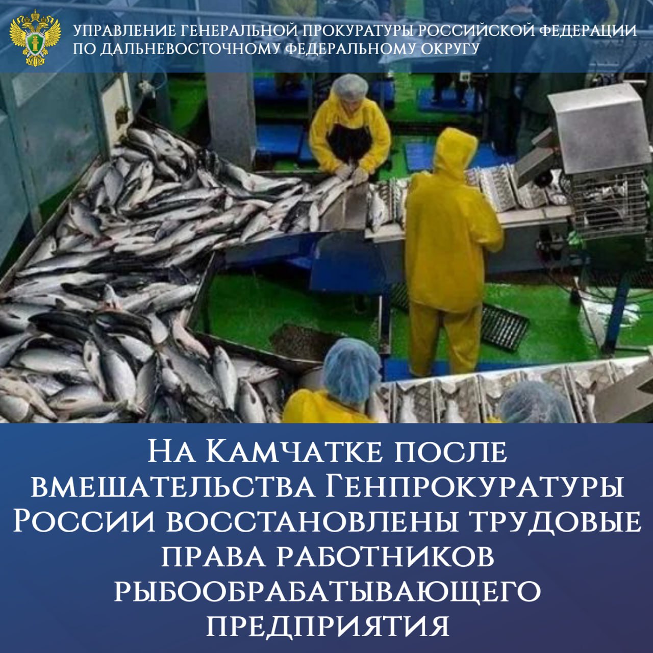 На Камчатке после вмешательства Генпрокуратуры России восстановлены трудовые права работников рыбообрабатывающего предприятия Работники ОАО «Корфский рыбокомбинат» не дождавшись от работодателя установленной законом оплаты труда обратились в Генпрокуратуру России. Установлено, что 16 работникам несвоевременно и не в полном объеме выплачивалась заработная плата. Более того, с шести из них не были оформлены трудовые отношения в предусмотренном законом порядке. После прокурорского вмешательства образовавшийся долг погашен в полном объеме на сумму свыше 600 тыс. рублей, на основании судебных решений возникшие между работниками и предприятием правоотношения признаны трудовыми. За допущенные нарушения трудового законодательства директор рыбокомбината привлечен к административной ответственности, ему назначены предупреждение и штрафы на общую сумму 37 тыс. рублей уплачены . Ввиду невыплаты зарплаты в полном объеме свыше 2 месяцев работодатель привлечен к уголовной ответственности по ч. 2 ст. 145.1 УК РФ. Контроль за восстановлением прав граждан осуществлен управлением Генеральной прокуратуры Российской Федерации по Дальневосточному Федеральному округу.