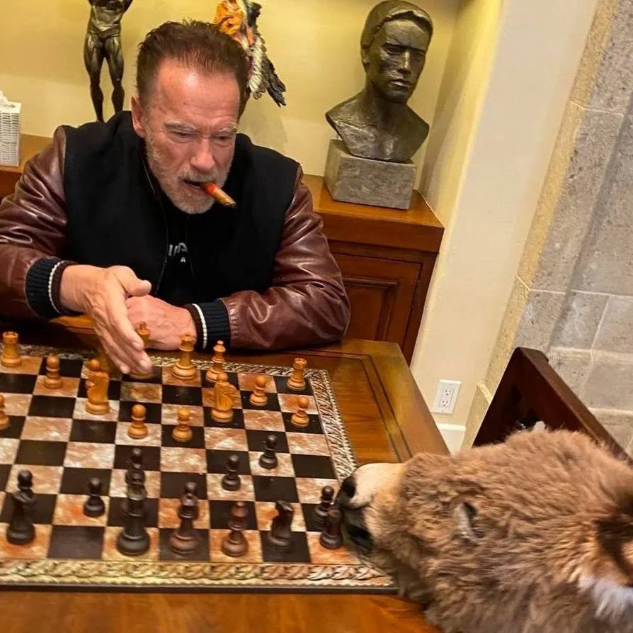Арнольд Шварценеггер завел себе свинку, осла и лошадь. При помощи милых друзей Терминатор «справляется с кризисом среднего возраста». Свинку зовут Шнелли и она любит суп, лошадь зовут Виски и она балдеет от домашнего овсяного печенья, что нравится ослу по имени Лулу, история умалчивает. У Шварценеггера есть еще несколько собак. — если нравится такой способ борьбы с выгоранием