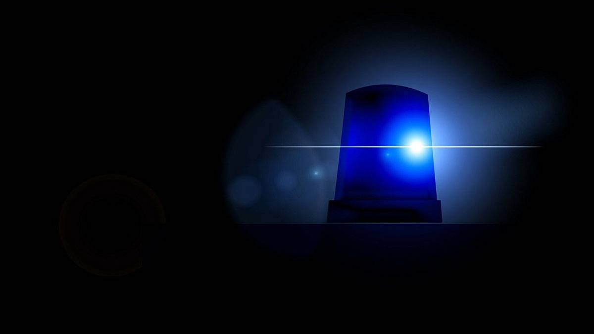 Многодетная мать истязала дочь раскаленной плойкой в Санкт Петербурге Многодетная мать из Санкт Петербурга предстанет перед судом за нападение на 15 летнюю дочь с раскаленной плойкой Об этом в четверг 18 сентября сообщили в пресс службе регионального СК РФ