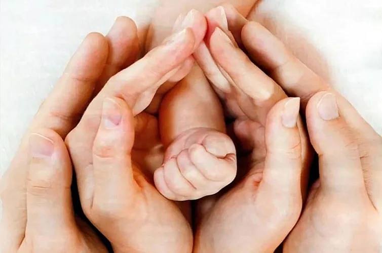 Со следующего года будущие родители смогут бесплатно провести генетическую диагностику перед ЭКО Процедура позволяет исключить наличие генетических отклонений у эмбриона перед его переносом в полость матки Сейчас цены на нее начинаются от 40 тысяч рублей По инициативе нижегородских депутатов процедуру хотят сделать бесплатной по всей России Для реализации программы планируют потратить полмиллиарда рублей из федерального бюджета Подписаться на нас в MAX