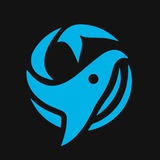 Аватар Телеграм канала: Что говорят киты? 🐋