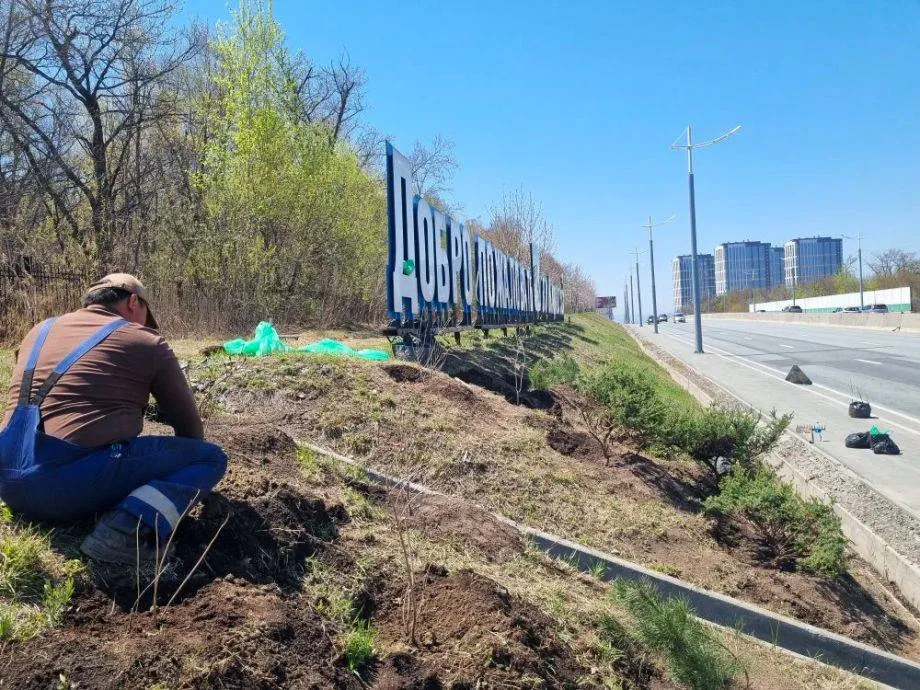 Вдоль трасс Владивостока высадили сотни саженцев Этой весной во Владивостоке масштабно подошли к озеленению придорожных территорий Вдоль оживленных трасс на склонах и разделительных полос специалисты муниципального учреждения Зеленый Владивосток высадили почти 700 новых деревьев и кустарников   Подробнее на PRIMPRESS PRIMPRESS в MAX ДЗЕН ЧАТ БОТ
