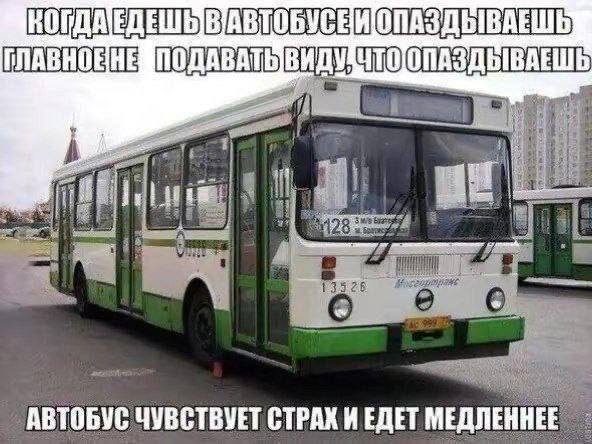 В следующем году в Ростове исчезнут сразу 13 маршрутов общественного транспорта Администрация Ростова на Дону опубликовала график транспортного планирования на 2026 год согласно которому автомобильная сеть города будет подвергнута значительным изменениям Информация размещена на официальном сайте городской мэрии Согласно плану в городе будут упразднены трамвайные направления 4 и 6 а также практически все троллейбусные маршруты Продолжат работу только линии 2 17 и 22 Также прекратят функционировать трамвайные пути по Театральному проспекту и Крепостному переулку Среди закрываемых троллейбусных направлений окажется одно из центральных по улице Красноармейской Изменения затронут и автобусное сообщение власти намерены ликвидировать маршруты 1а 4а 6а и 19 Эти меры направлены на оптимизацию транспортной сети города enter rostov