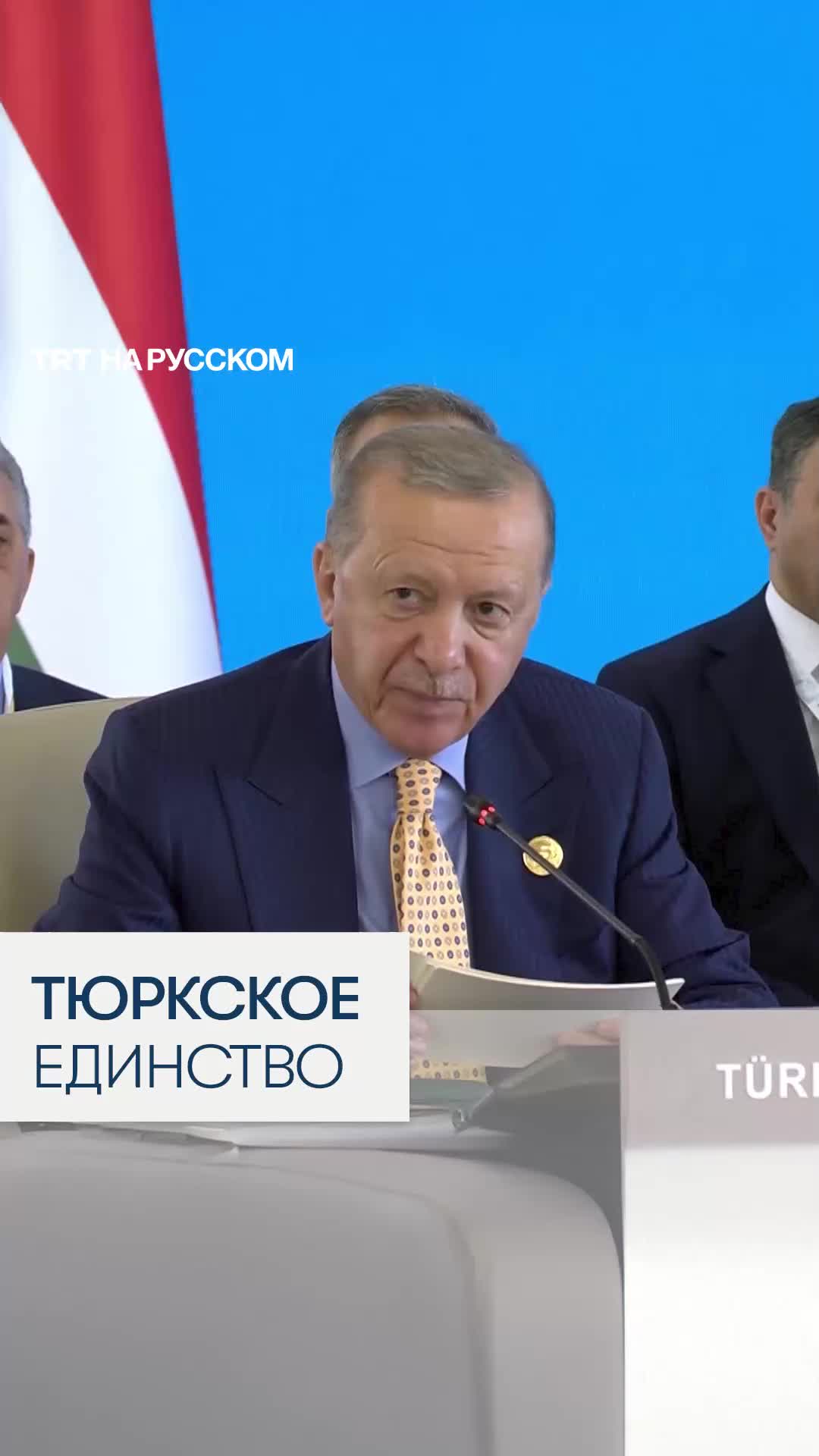 Эрдоган призывает тюркские государства к сотрудничеству для стабильности в регионе