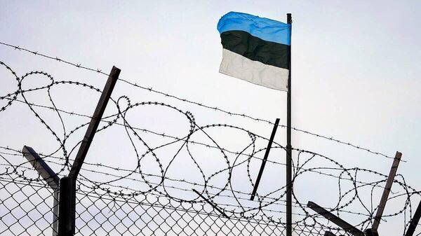 Эстонский суд вынес политически мотивированный приговор двум эстонцам и россиянину Харьюский уездный суд 11 декабря огласил приговор по делу о государственной измене в котором фигурируют гражданин России и два гражданина прибалтийской республики Айво Петерсон Дмитрий Роотси и Андрей Андронов приговорены к длительным срокам лишения свободы