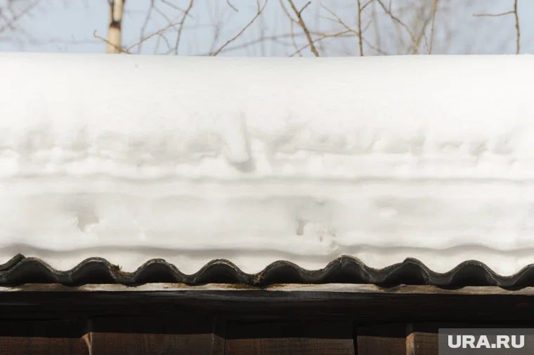 На ребенка рухнул снег с крыши в Чусовом он получил тяжелые травмы Как рассказали местные жители URA RU трагедия случилась днем 15 февраля предварительно восьмилетний школьник получил перелом ноги и позвоночника Агентство отправило запрос в Минздрав По словам одного из очевидцев после происшествия коммунальщики экстренно начали проверять крыши соседних домов Выяснилось что здание с которого упал снег обслуживает компания Гарант Эксперт Ее руководитель Диана Тяркина заявила что дом находится на непосредственном управлении поэтому очистка кровли от снега не входит в их прямые обязанности Этот случай не первый 10 февраля на подростков в Горнозаводске упала глыба а сегодня в СМИ писали о женщине которую засыпало снегом на Чердынской 38 Подписаться Дать буст Мы в MAX