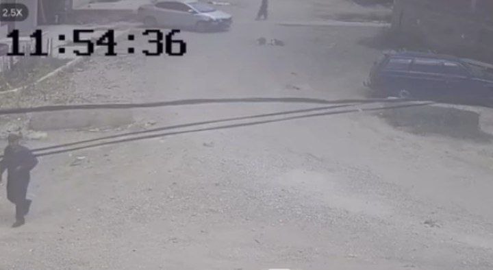 Водитель насмерть переехал четырех щенков в Махачкале Это произошло 22 июля на улице Шелковая. На кадрах из соцсетей видно, что животные лежали на дороге, но в этот момент по ней же ехала «Kia Rio». Объезжать щенков водитель не стал – проехал по ним и скрылся. Животные погибли, сбежать успел лишь пятый пес. Самого живодера уже установили. Выясняются обстоятельства произошедшего, сообщает прокуратура Дагестана.
