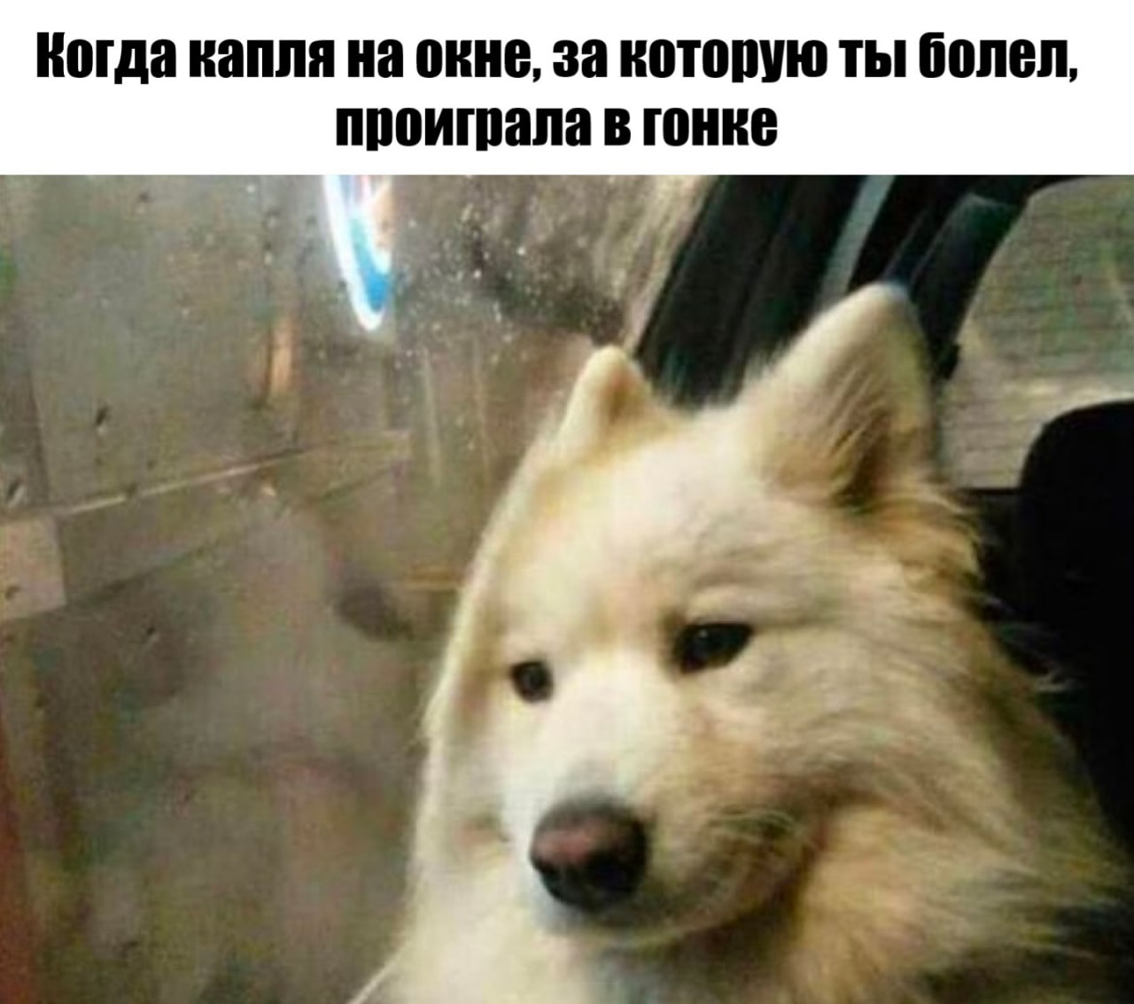 Синоптики поделились прогнозом погоды в Саранске на 9 мая «Известия Мордовии» узнали подробности у специалистов регионального Гидрометцентра. По данным синоптиков, 9 мая республика будет находиться в тыловой части холодного циклона. Ожидается небольшой спад температуры и кратковременные осадки. Днем воздух прогреется до +10…+15°C, а ночью столбик термометра опустится до 0…+5°C. Местами возможны слабые дожди, ветер северо-западный умеренный — около 3–8 метров в секунду.