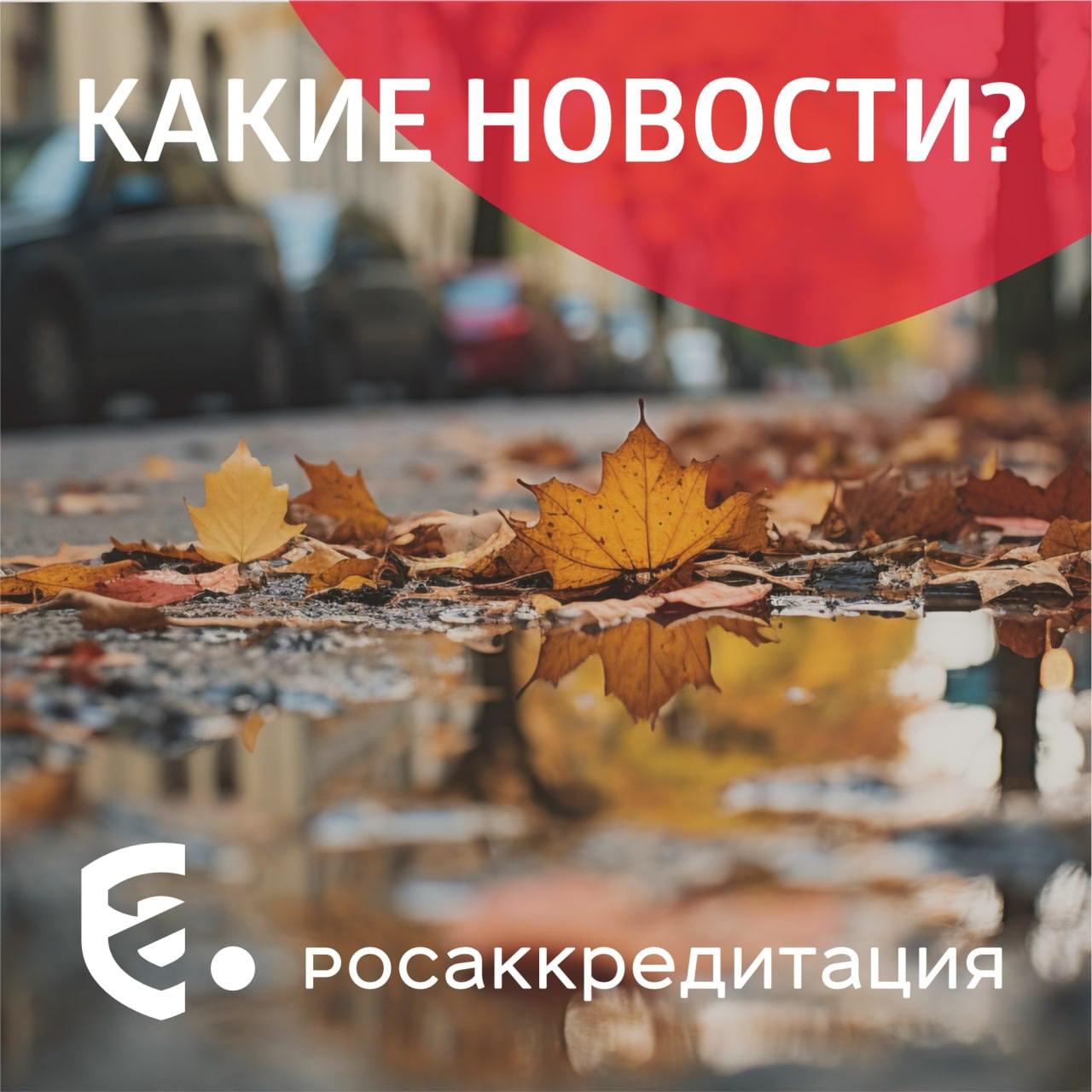 Какие новости С начала года более 3 тысяч малых и средних предприятий подали заявки на патенты Такие показатели свидетельствуют о росте патентной активности малого и среднего бизнеса который формирует большой объем продукции Сделано в России в различных отраслях Крупнейшие бренды заняли до 89 всей рекламы на маркетплейсах Среди самых популярных категорий рекламы участники рынка выделяют Красоту и здоровье Обувь и Бытовую технику Более 90 китайских туристов хотели бы приехать в Россию снова Они обращают внимание прежде всего на доступность онлайн инструментов от поиска информации до бронирования и использования сервисов на месте РЭЦ представил инициативы по развитию экспорта через маркетплейсы Онлайн площадки дают продавцам не только возможность выйти на полку маркетплейса но и доступ к международным рынкам значительно расширяя экспортный потенциал их бизнеса Россия познакомила страны Азиатско Тихоокеанского региона с лучшими туристическими практиками Это достижения в сфере цифровизации туристического сектора развития человеческого капитала упрощения процедур по оформлению туристических виз устойчивого и инклюзивного туризма